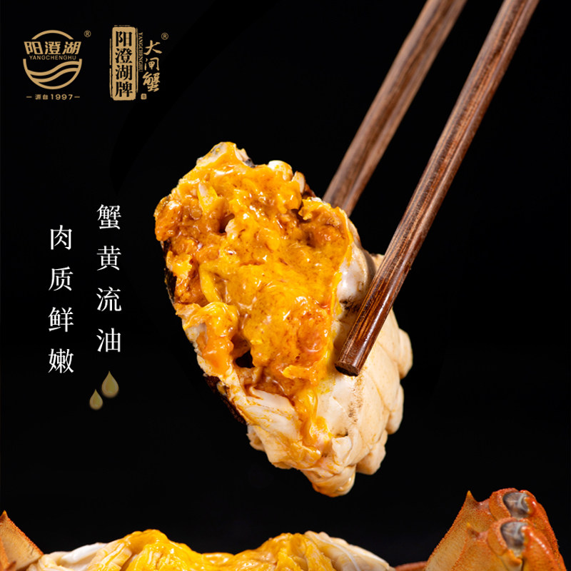 【活蟹】阳澄湖牌大闸蟹公母鲜活特大螃蟹大闸蟹螃蟹阳澄湖大闸蟹