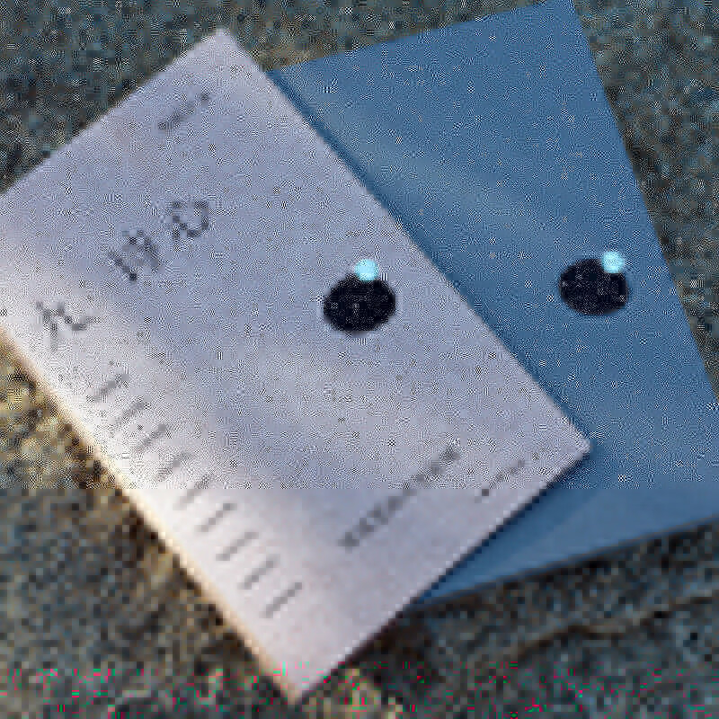 九诗心:暗夜里的文学启明 《诗人十四个》作者黄晓丹作品 叶嘉莹、钱理群 豆瓣2025年度图书 图书