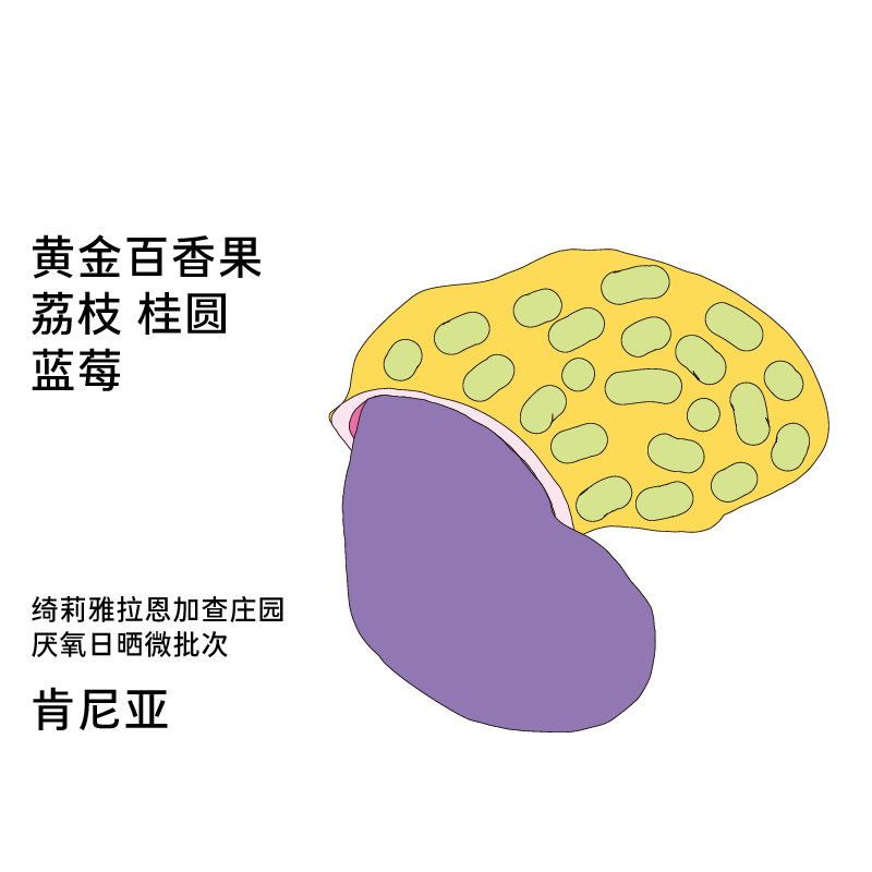 Back系列肯尼亚 Kiambu SL28&SL34品种多口味手冲咖啡豆