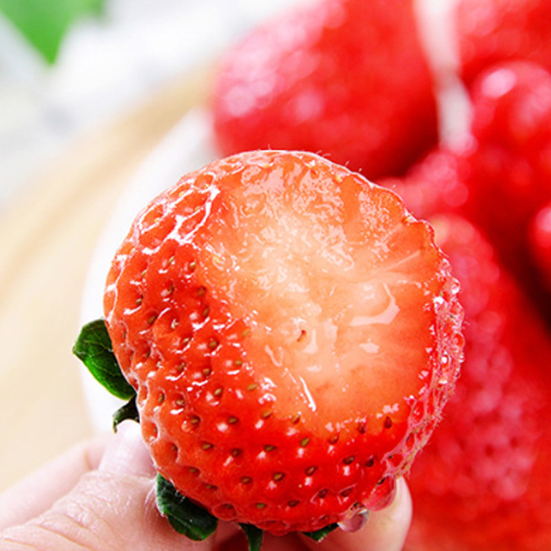 四川大凉山露天草莓奶油草莓现摘现发酸甜应季水果整箱