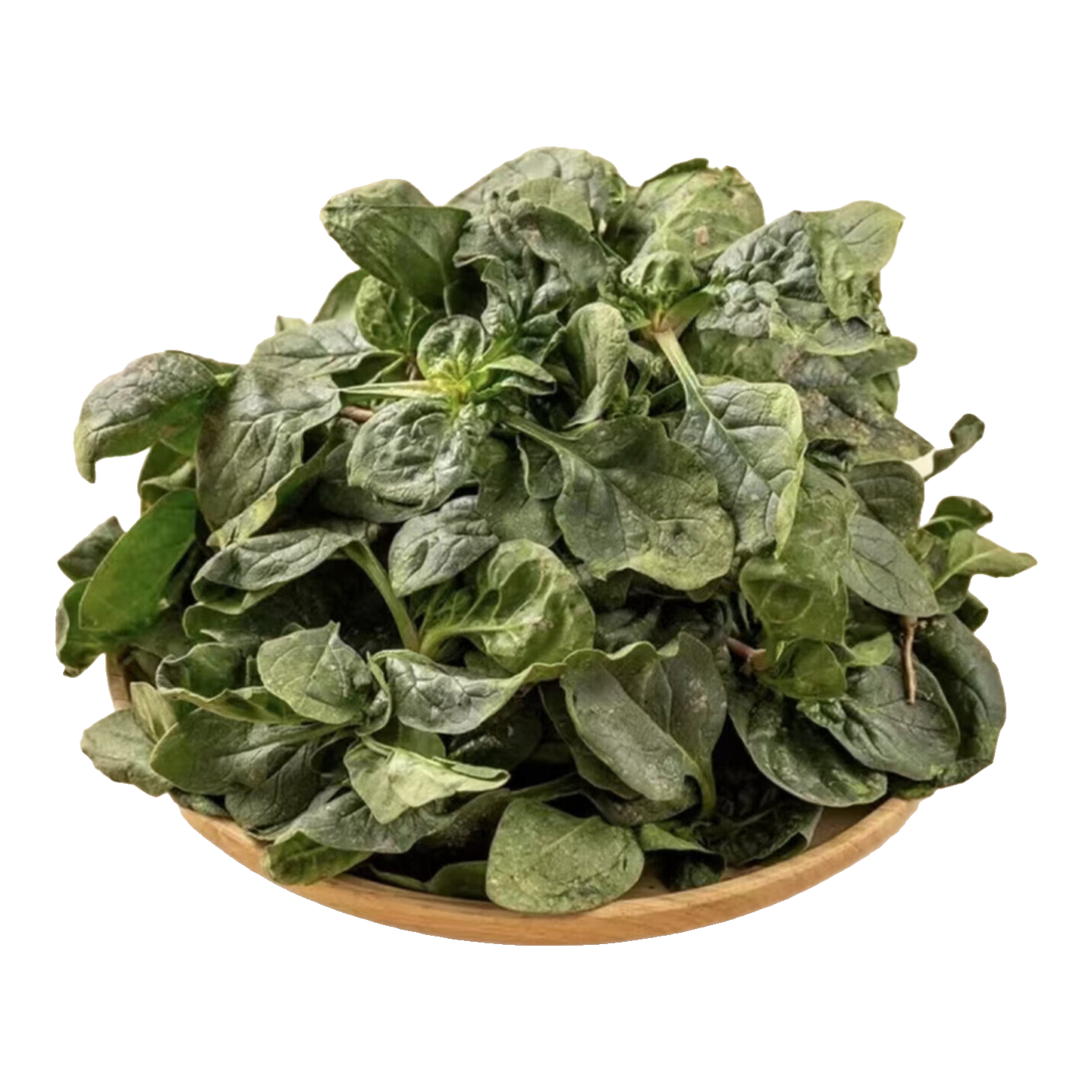 旷古农业河南霜冻趴地菠菜当季新鲜蔬菜矮脚现挖现发时令火锅食材 【新鲜现挖】趴地菠菜3斤