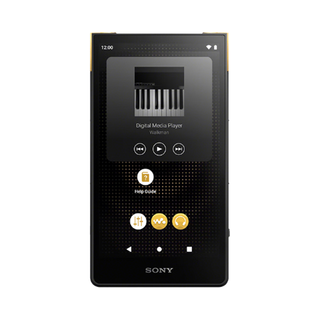  SONY/索尼 高解析度无损音乐 音乐播放器+256G TF卡