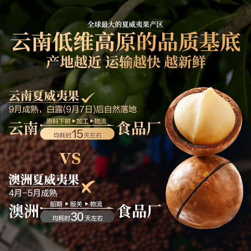 良品铺子奶香夏威夷果大罐装夏威夷果家庭量贩装零食 【22-25mm】精选夏威夷果500g袋 ,