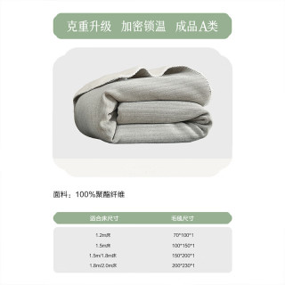 百丽丝 A类加厚雪尼尔毛毯 晚月灰 70cm×100cm