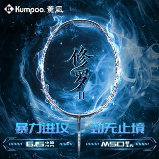 薰风修罗二代羽毛球拍全碳素纤维高端训练比赛暴力进攻型羽毛球拍