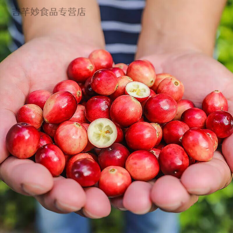 I黑龙江蔓越莓 抚远蔓越莓 当季蔓越莓鲜果80克*2盒 80克/盒 160g