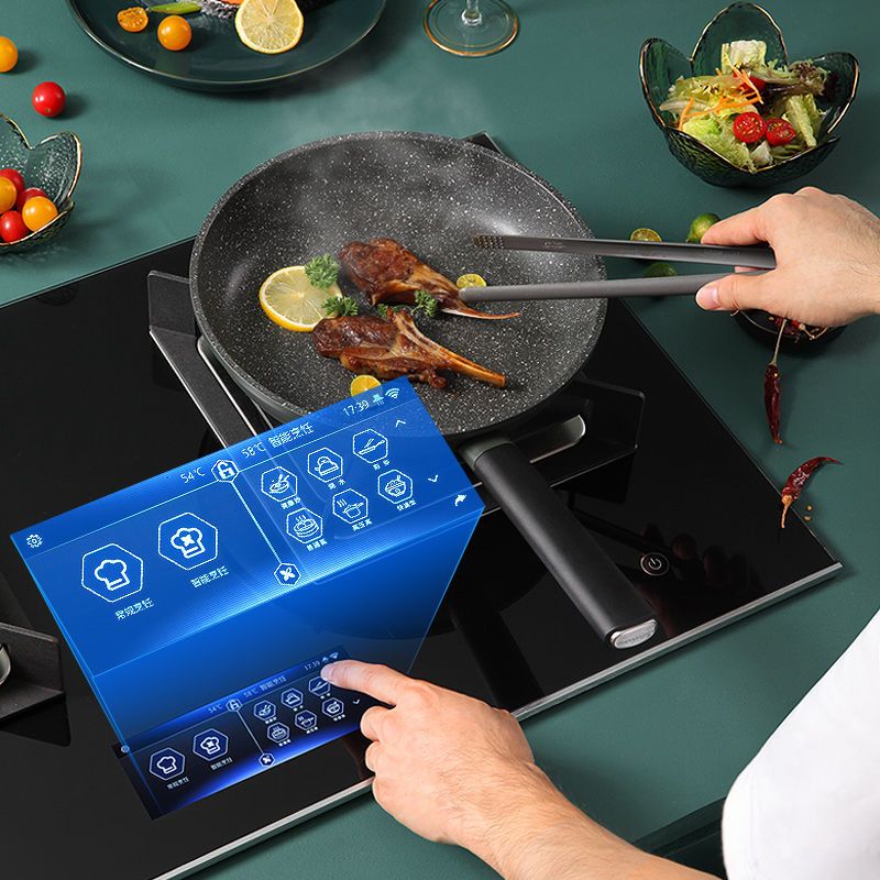  XUNDA/迅达 DB8688A 智能语音联网 智能烹饪燃气灶