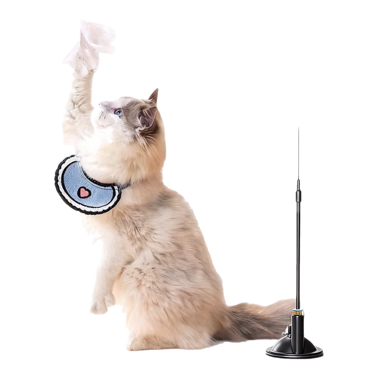 Huan Chong 欢宠网 猫薄荷球猫玩具猫咪旋转舔舔乐猫猫木天蓼猫草粉猫零食