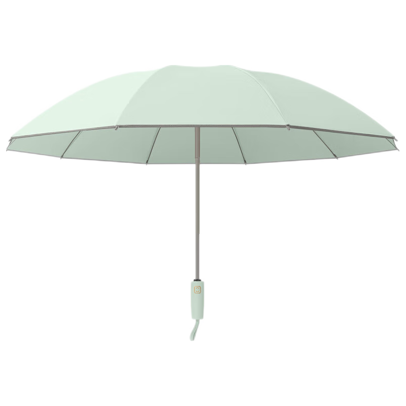 Le Bronte 朗特乐 10骨反向自动全自动雨伞