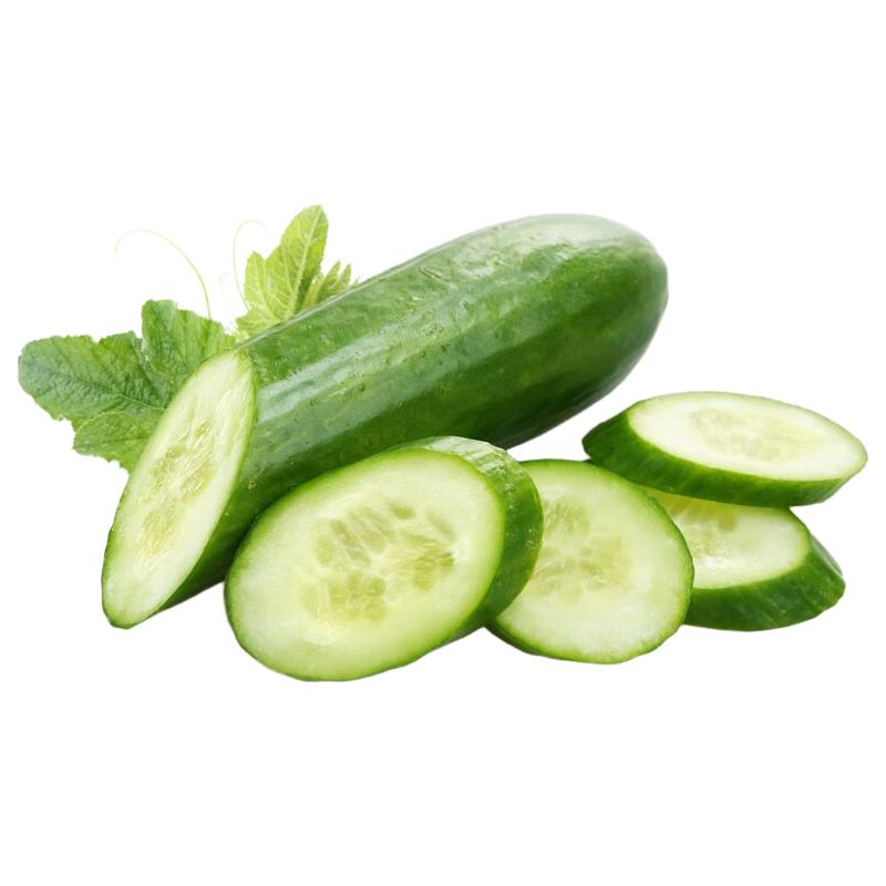 桃李村新鲜小黄瓜 水果黄瓜 西餐凉拌沙拉菜即食 500g