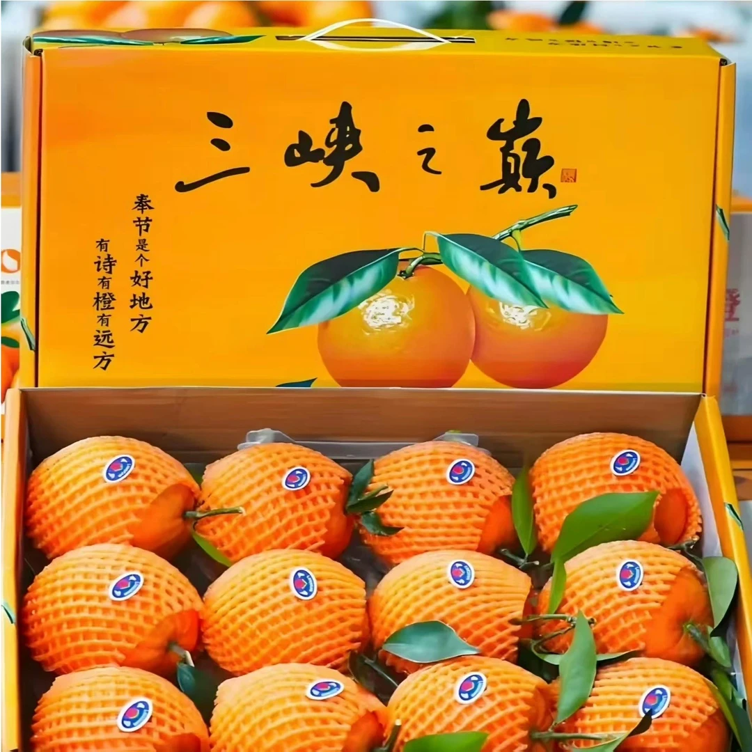  果迎鲜 新鲜 奉节脐橙