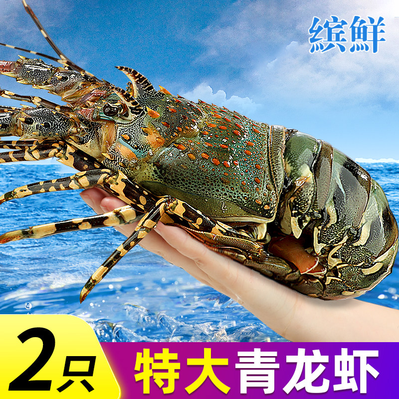  缤鲜 鲜活冷冻 龙虾