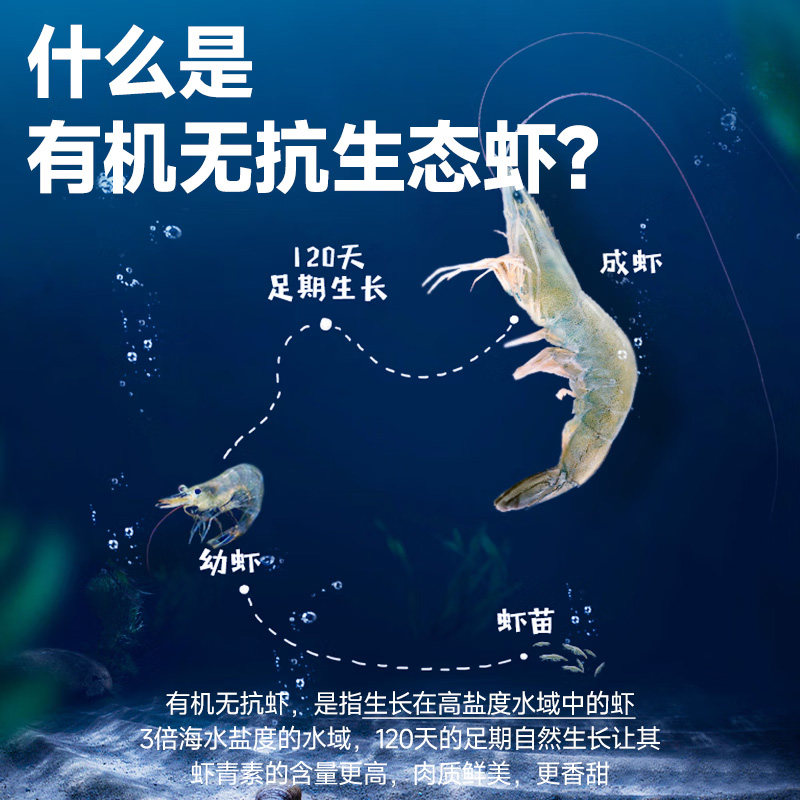  渔游记 有机无抗 盐田虾