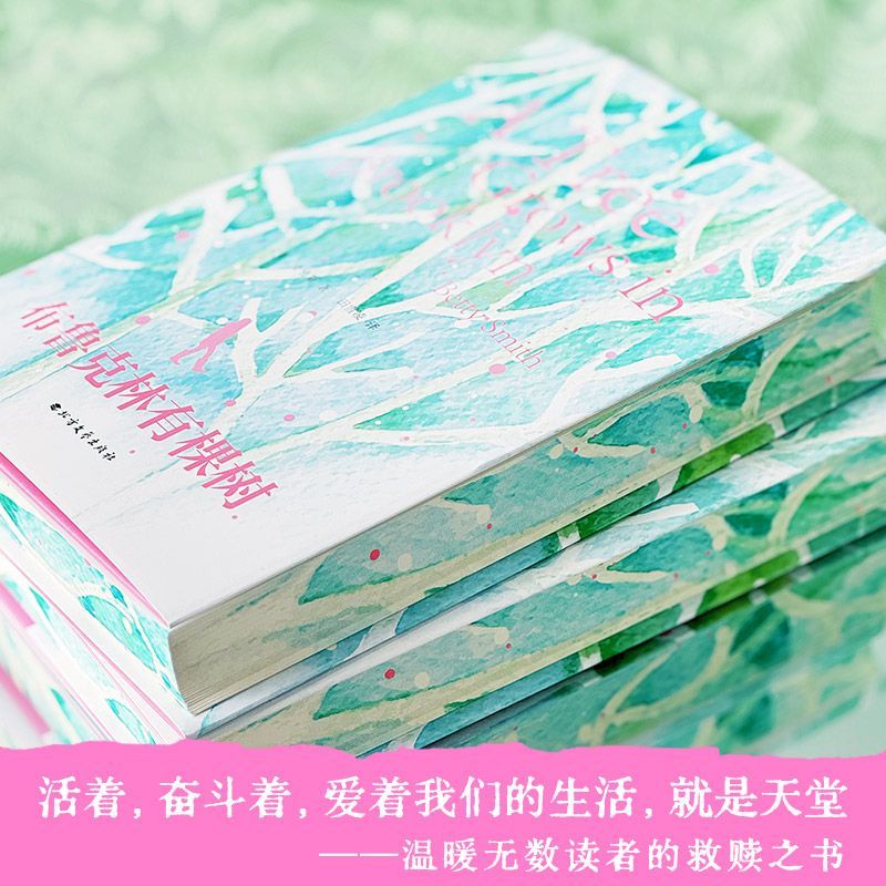 布鲁克林有棵树 外国现当代文学