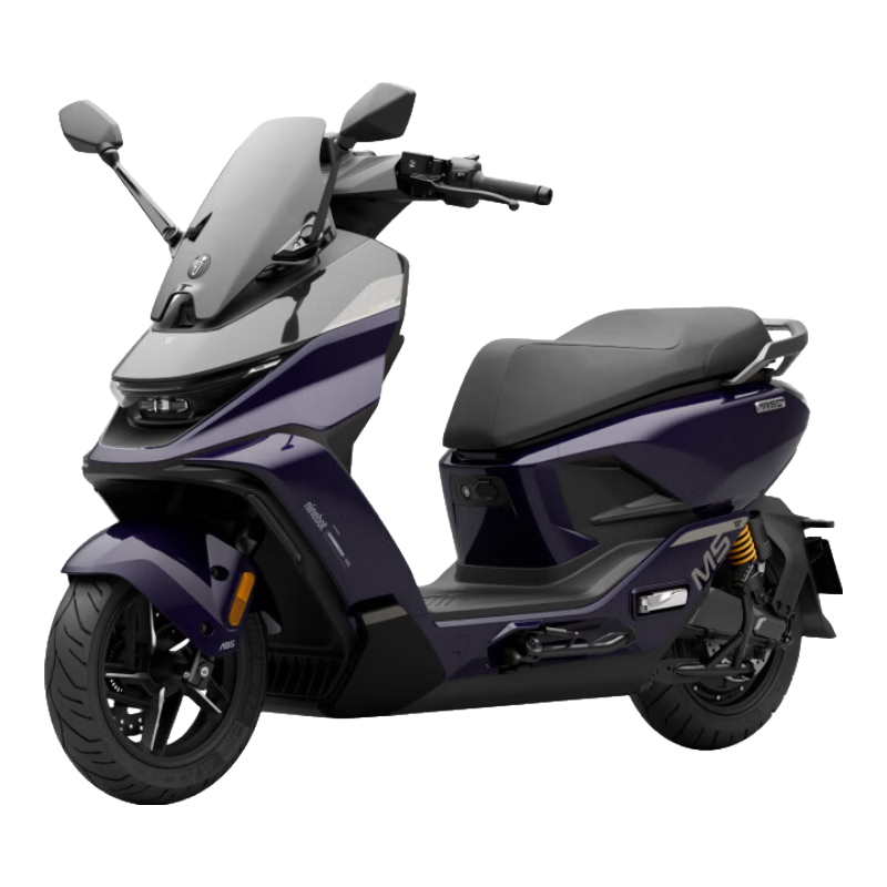 九号（Ninebot）九号电动摩托车M5 200 真智能 高性能锂电大单体百公里长续航 电摩 到门店选颜色