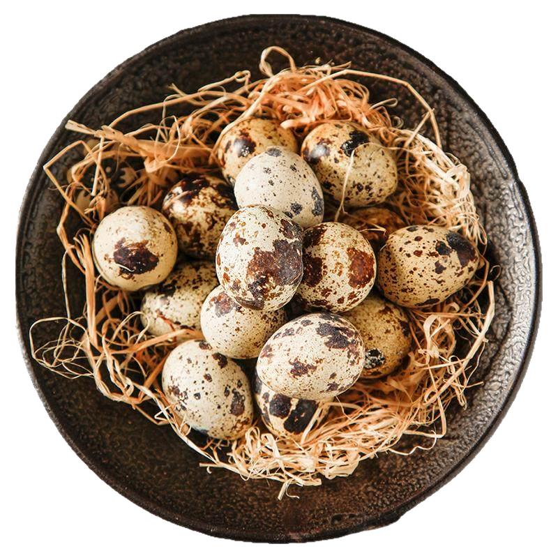 鹌鹑蛋新鲜50枚鹌鹑蛋农家散养清水火锅麻辣烫食材