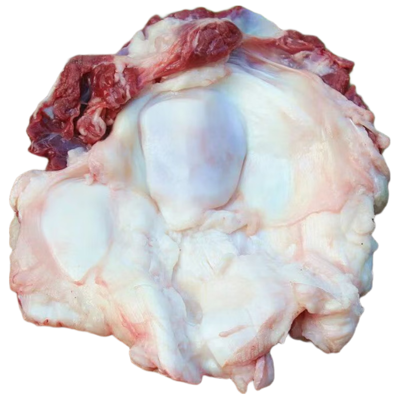 大紅門黑猪元宝窝骨猪弯弯猪膝骨净重4斤冷冻生鲜猪肉源头直发 猪元宝猪窝骨4斤