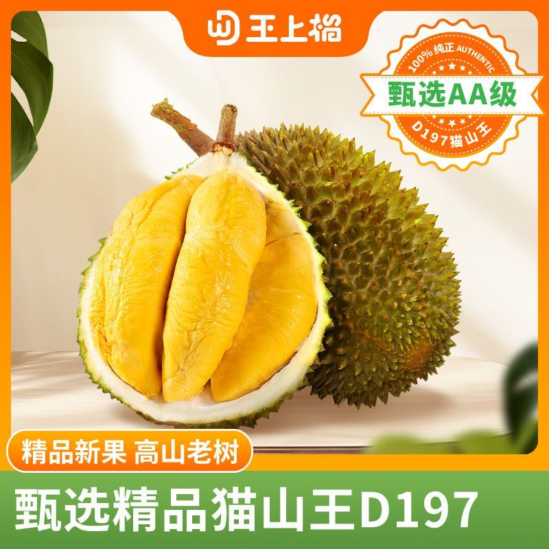 【王上榴】D197猫山王榴莲整果2斤起马来西亚冷冻榴莲果实饱满