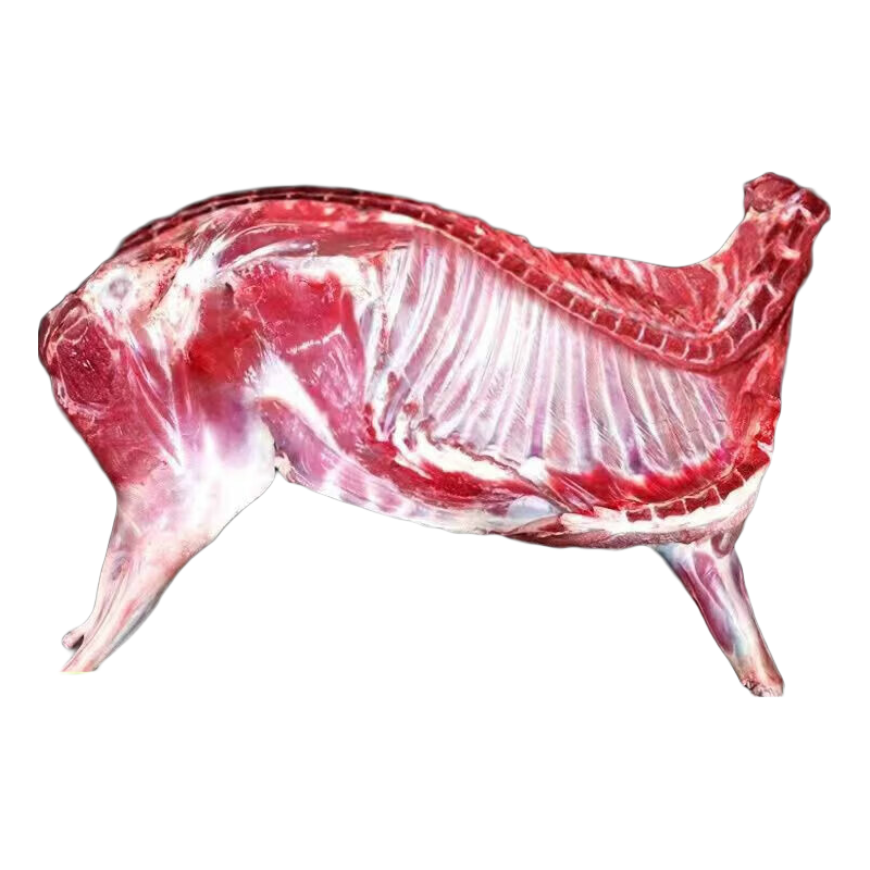  井親 活羊现杀 半羊