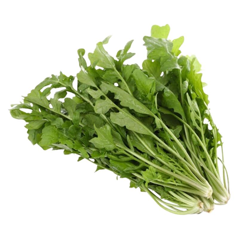  马保果 野生新鲜 荠菜