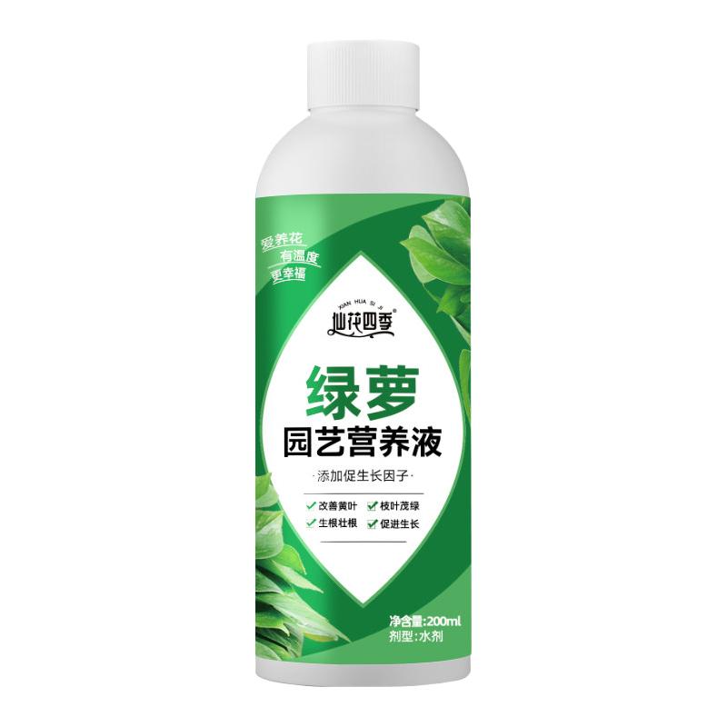  仙花四季 通用 绿萝营养液