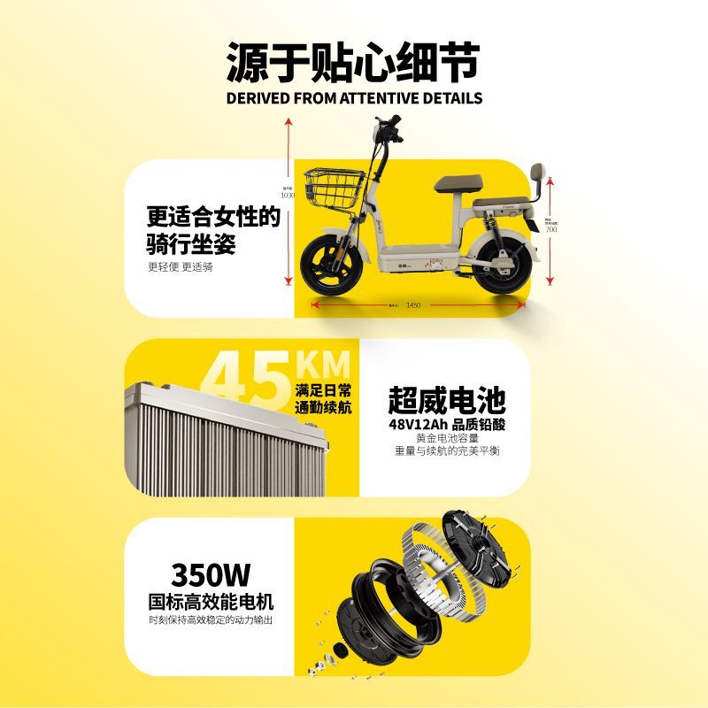  金箭 新国标 电动自行车 铅酸电池