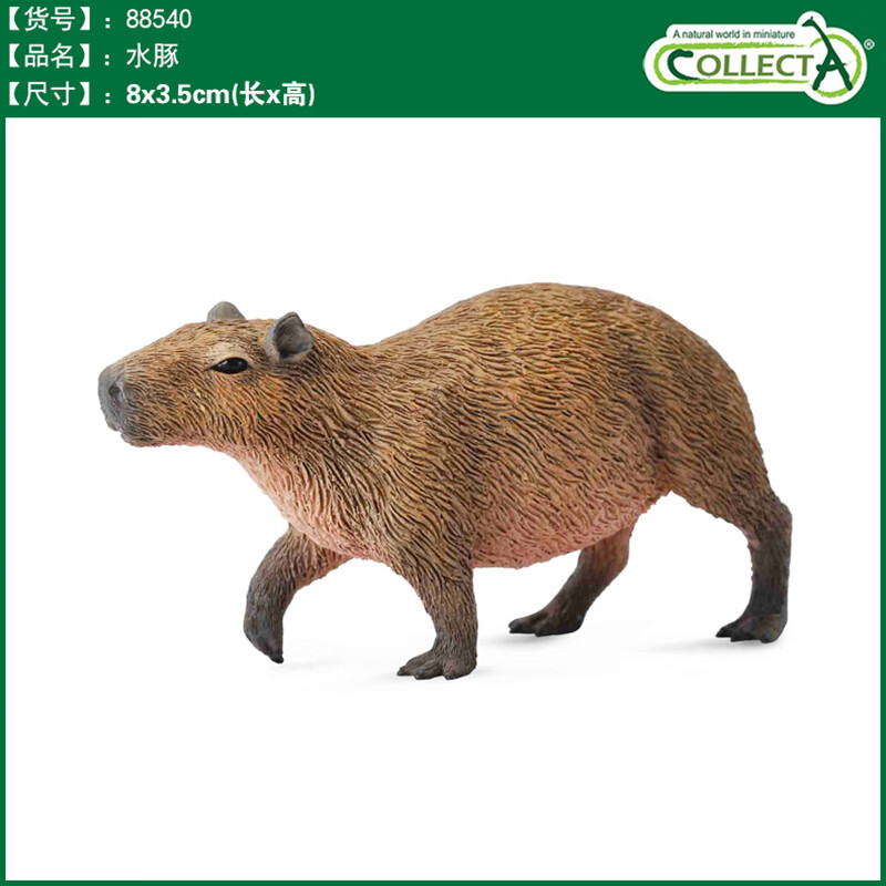  COLLECTA 儿童仿真野生动物模型玩具