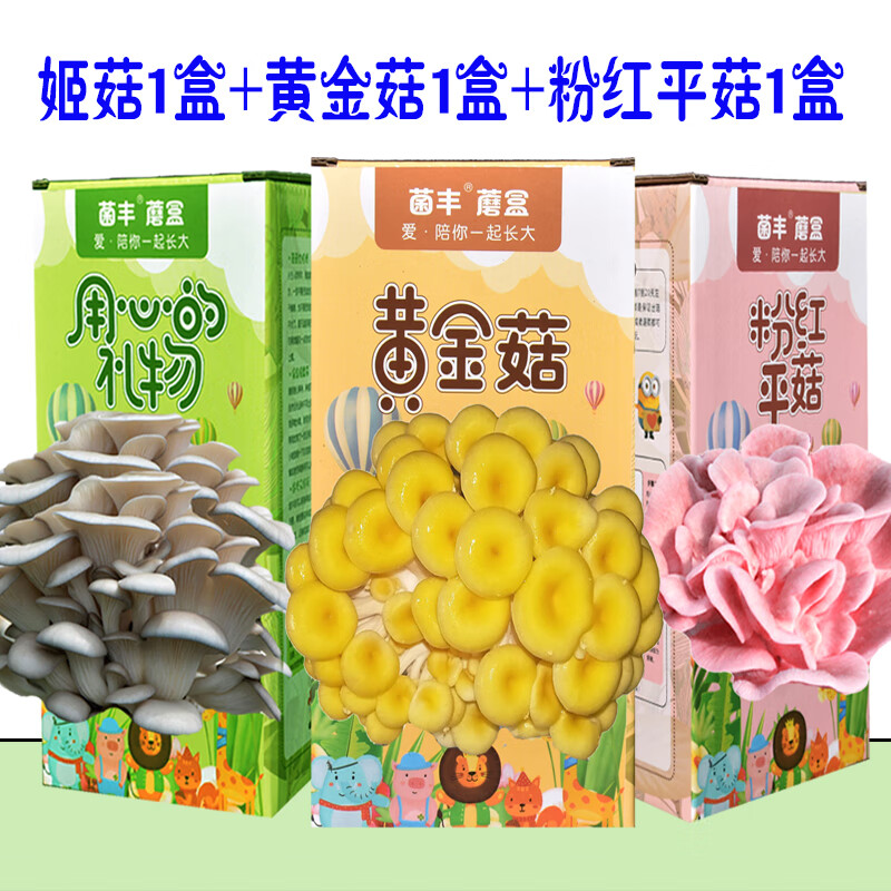  菌丰 家庭种植 蘑菇菌包 蘑菇礼盒【3个品种各发1盒】