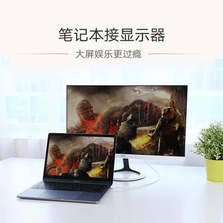  UGREEN/绿联 4K高清 Type-C转DP线