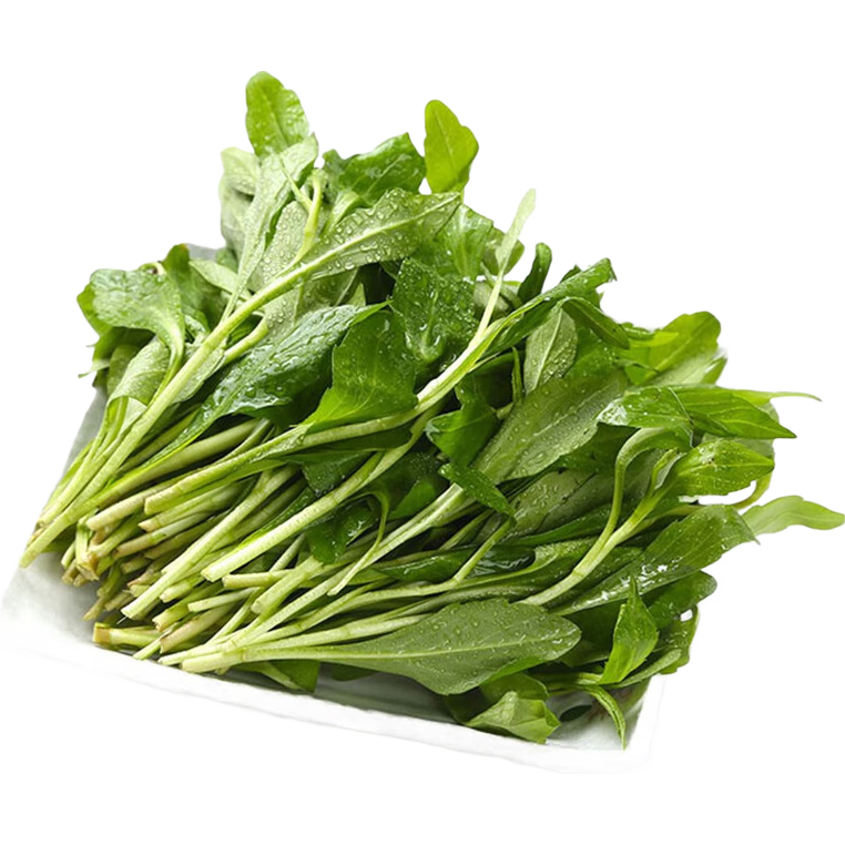  味小仙 新鲜现剪现摘 马兰头