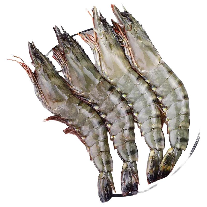  卖鱼郎先生 鲜活速冻 黑虎虾
