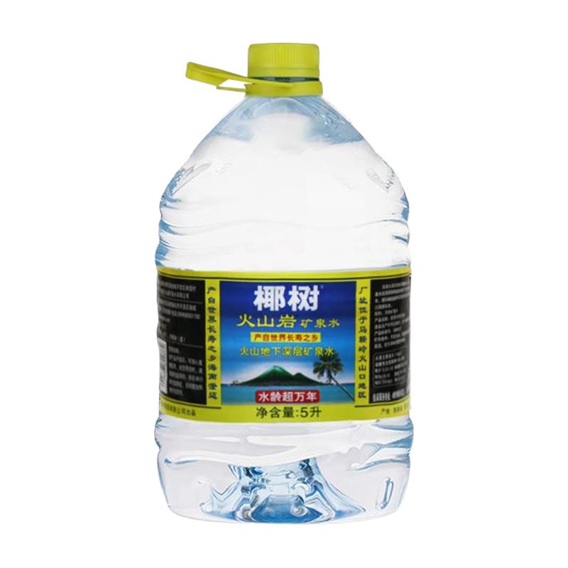  COCONUT PLAM/椰树 弱碱性火山岩 矿泉水