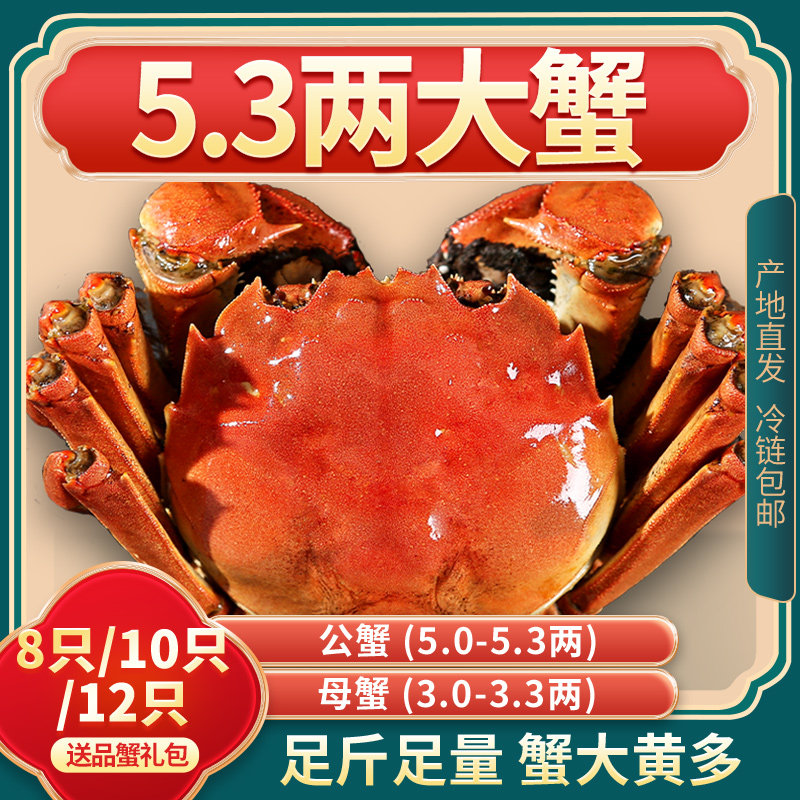  闻兴 鲜活 大闸蟹