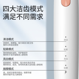  prooral/博皓 声波扫振 电动牙刷 软毛刷头