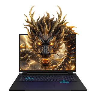 MECHREVO 机械革命 苍龙18 Pro 18英寸 黑色（锐龙R9-9955HX、RTX5070、16GB、1TB、2560*1600、180hz）
