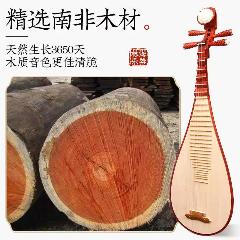  何佳功 考级 儿童琵琶