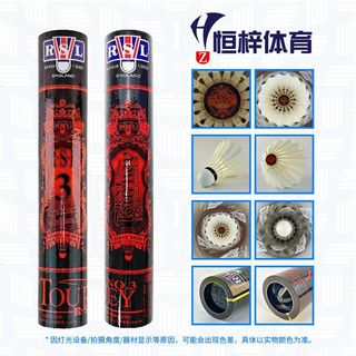  RSL/亚狮龙 稳定耐打 羽毛球