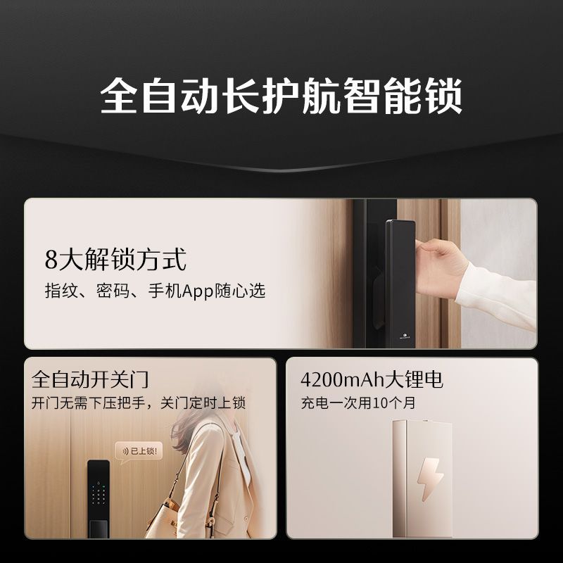 德施曼 Q2P 全自动指纹密码智能门锁