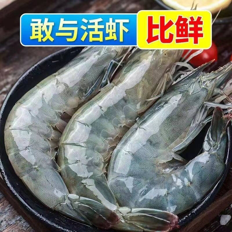  XYXT/虾有虾途 鲜活冷冻 青岛大虾
