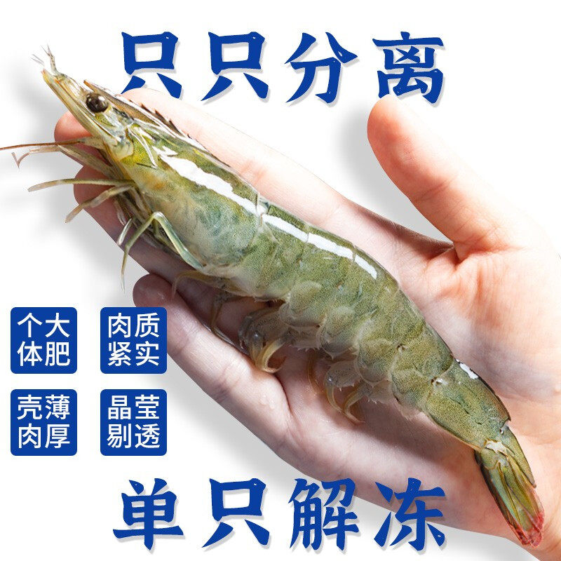  XYXT/虾有虾途 鲜活冷冻 冷冻虾