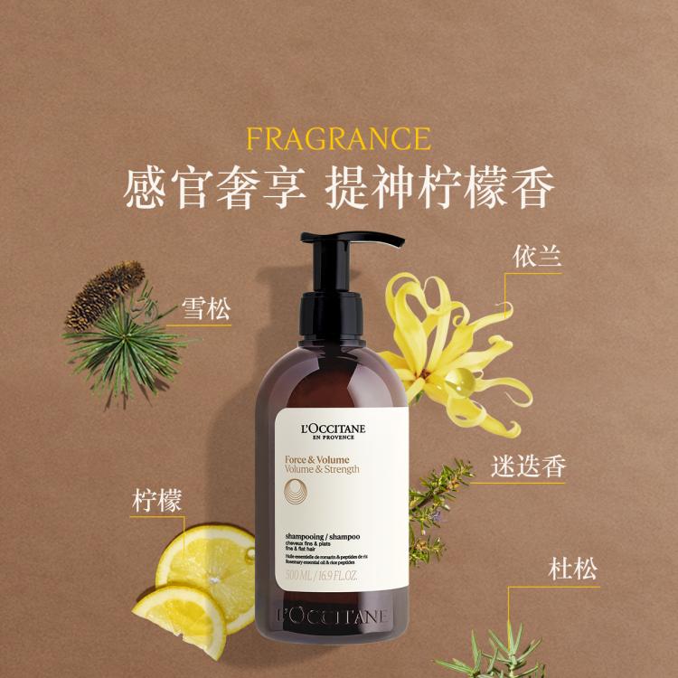  L'OCCITANE/欧舒丹 控油 洗发水