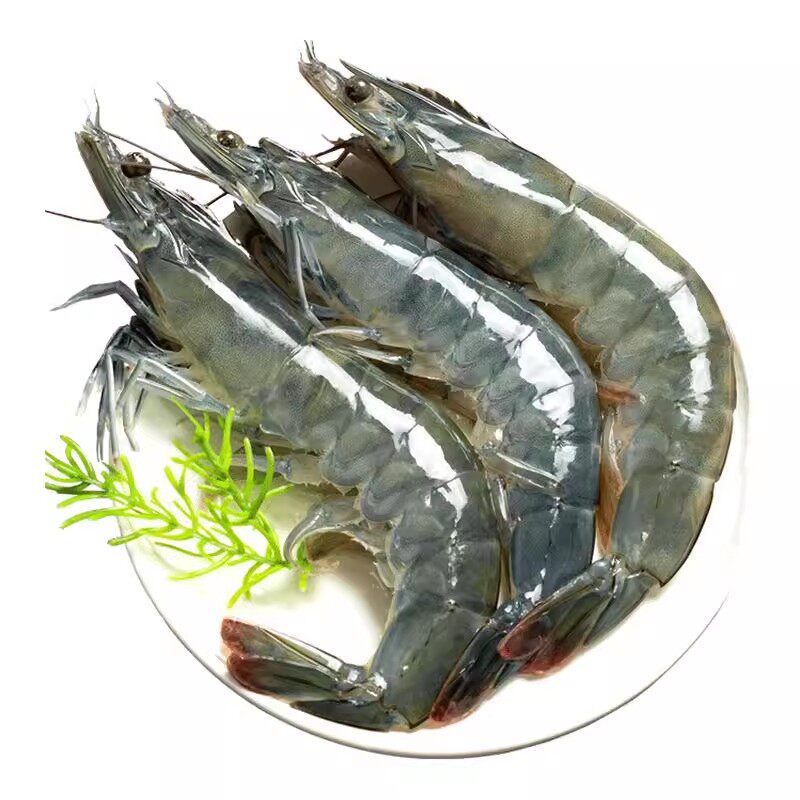  渔游记 有机无抗 盐冻白虾