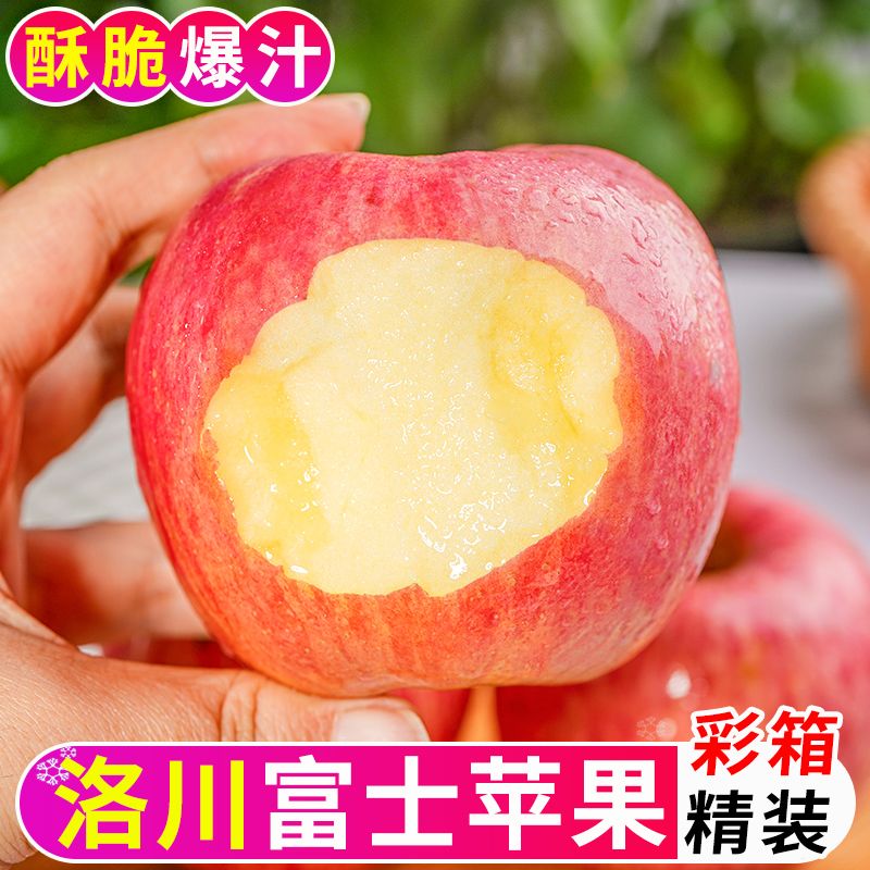  御品一园 新鲜 红富士苹果
