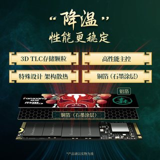  FANXIANG/梵想 固态硬盘 500GB 