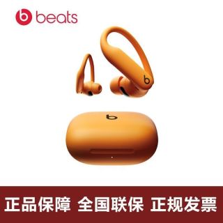 百亿补贴：Beats PowerBeats Pro 2无线蓝牙耳机降噪挂耳式心率监测运动耳机