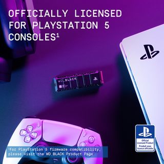 西部数据 PS5 1TB NVMe M.2 SSD
