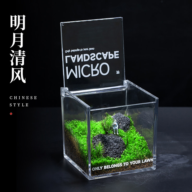 子乐湾 苔藓微景观生态雨林缸 成品室内小盆栽