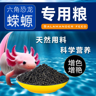 鱼克斯 下沉六角恐龙鱼饲料六角龙鱼饲料六六娃娃鱼西方蝾螈饲料鱼食专用