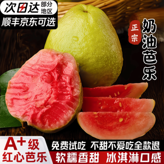 果益寿 红心芭乐广东番石榴软心白心奶油草莓芭乐新鲜应季水果单果150g+ 1.5斤