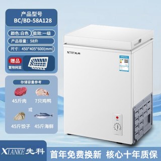 先科 一级能效小冰柜家用小型全冷冻箱冷藏两用迷你租房商用冷柜